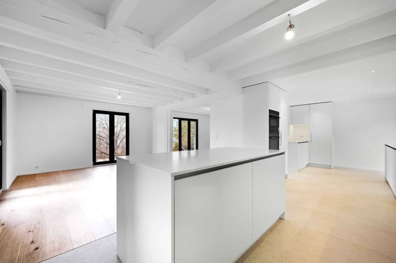 Very beautiful individual villa completely renovated with 6.5 rooms - Residential area (6)