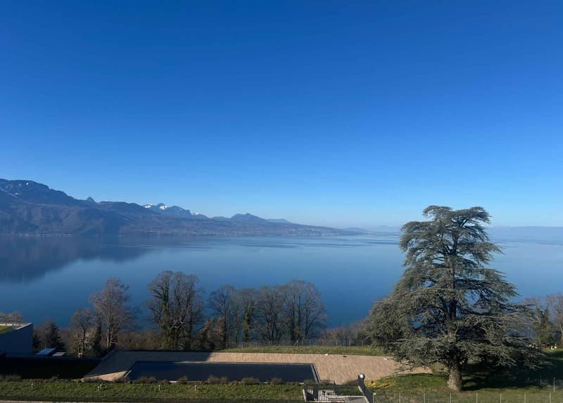 Véritable petit bijou de 2.5 p avec grand balcon et vue époustouflante sur le Lac (3)