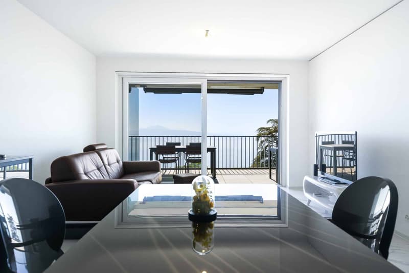 Véritable petit bijou de 2.5 p avec grand balcon et vue époustouflante sur le Lac (3)