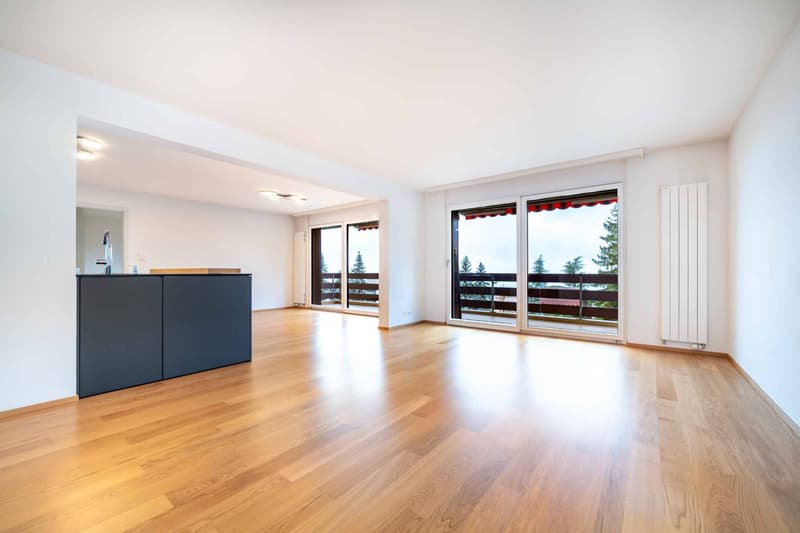 Superbe 5.5 pièces 133 m2 magnifiquement rénové avec grand balcon (3)