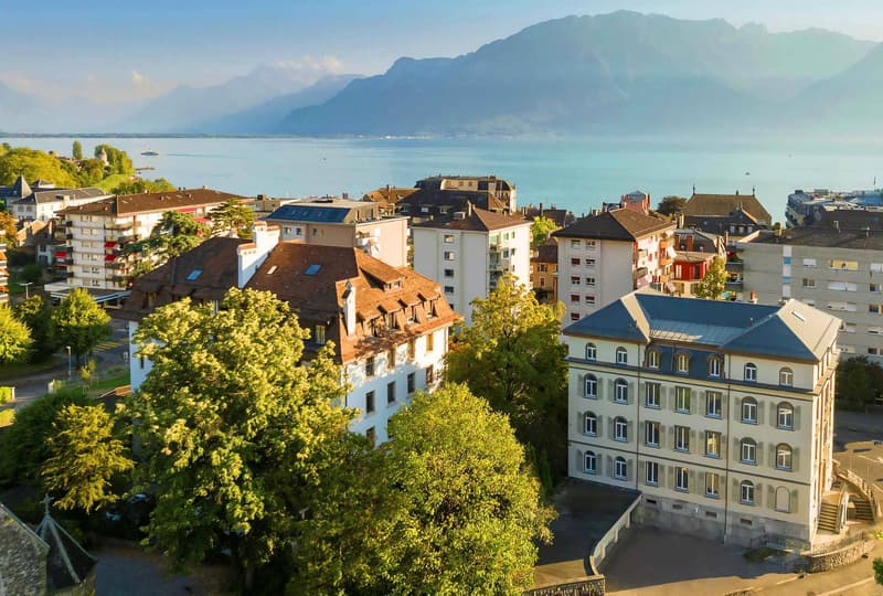 Dernier étage - Spacieux 3.5 pces 99 m2 + combles dans un immeuble ancien rénové (11)