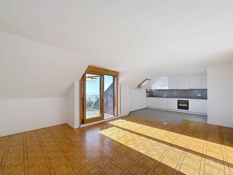 2 pièces de 66 m2 avec balcons + grande pièce annexe (4)