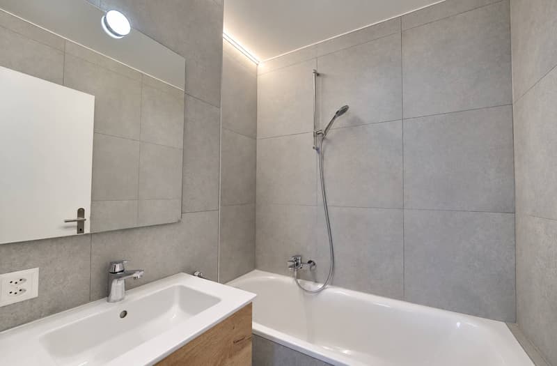 Superbe 5.5 pièces de 132 m2 int. totalement rénové avec grand balcon (8)