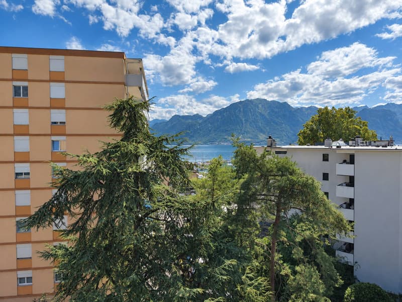 Superbe 5.5 pièces de 132 m2 int. totalement rénové avec grand balcon (2)