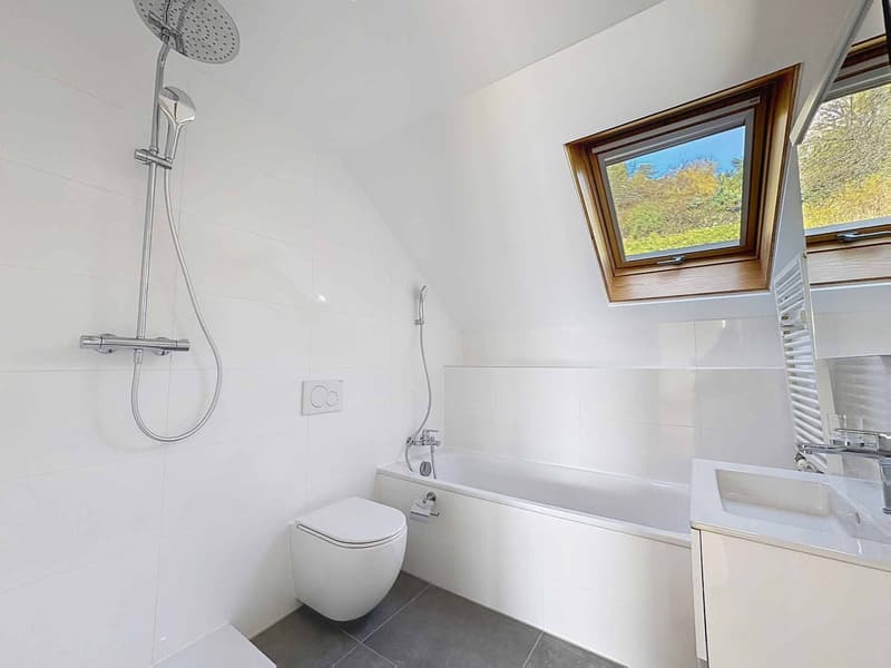 2 pièces de 66 m2 avec balcons + grande pièce annexe (9)