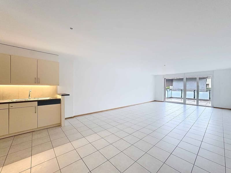 Spacieux 4.5 pièces de 127 m2 avec grande terrasse (2)
