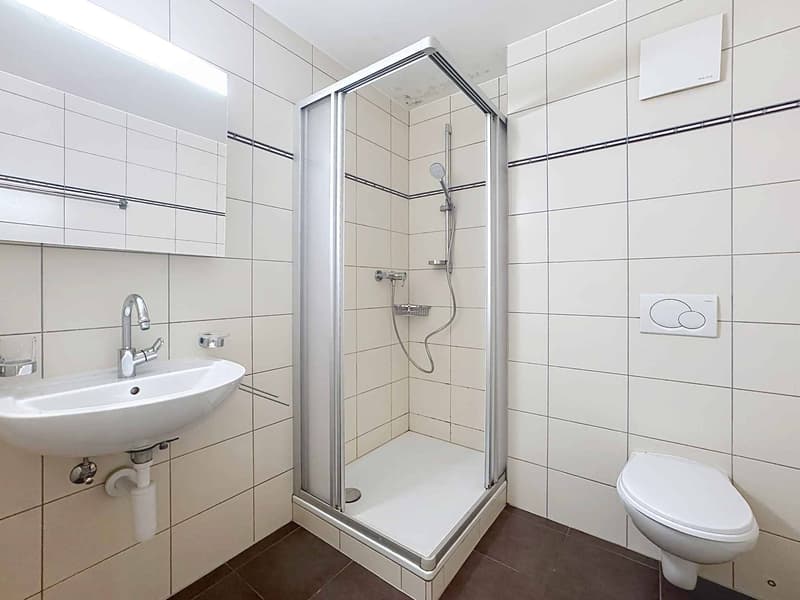 Spacieux 4.5 pièces de 127 m2 avec grande terrasse (13)