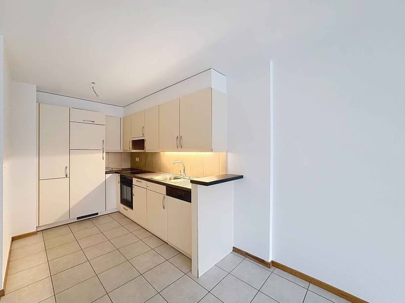 Spacieux 4.5 pièces de 127 m2 avec grande terrasse (5)
