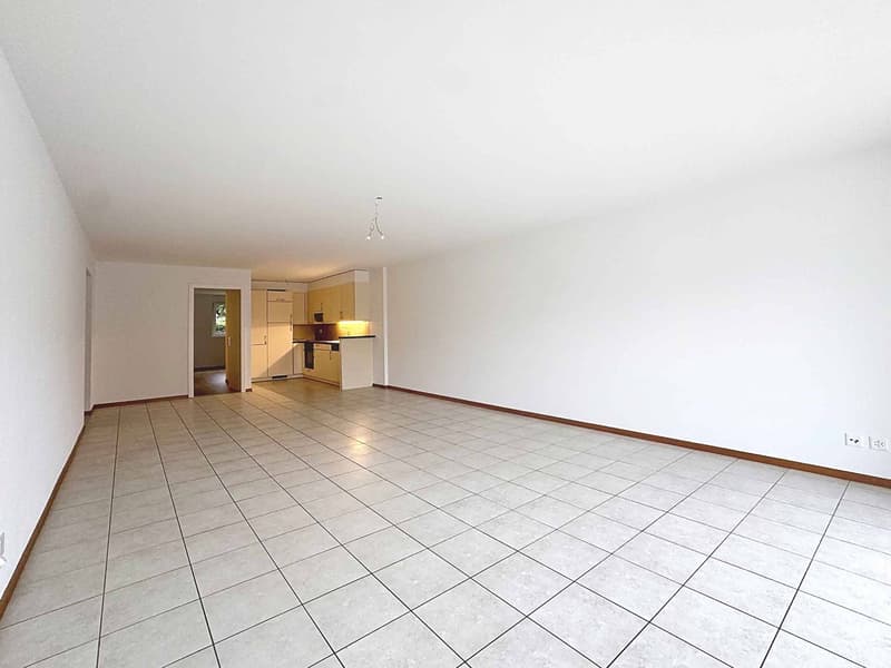 Spacieux 4.5 pièces de 131 m2 avec grande terrasse (4)