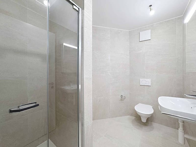 TRES GRAND 3.5 PCES NEUF DE 81 m2 (11)