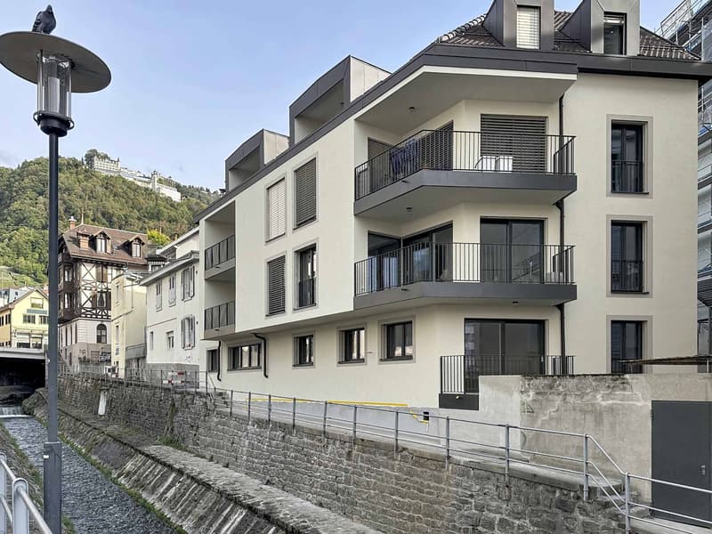 TRES GRAND 3.5 PCES NEUF DE 81 m2 (1)