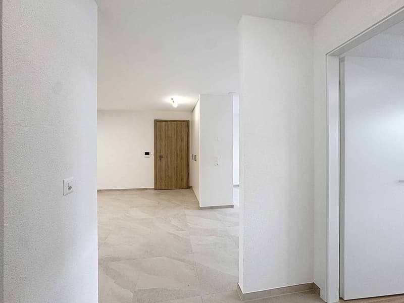 TRES GRAND 3.5 PCES NEUF DE 81 m2 (6)