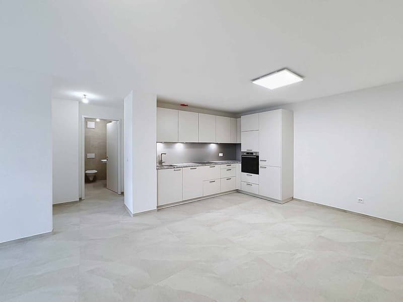TRES GRAND 3.5 PCES NEUF DE 81 m2 (3)