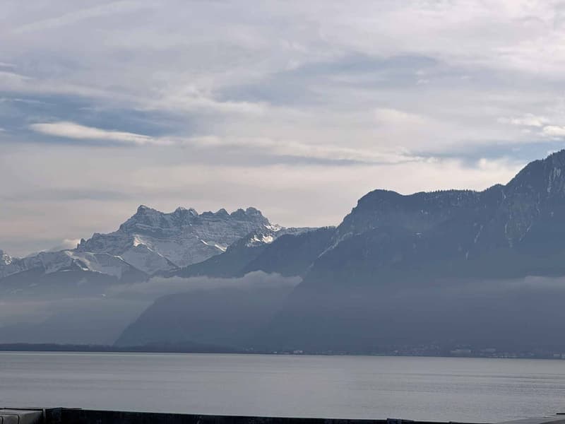 Exceptional duplex in the center of Vevey (2)