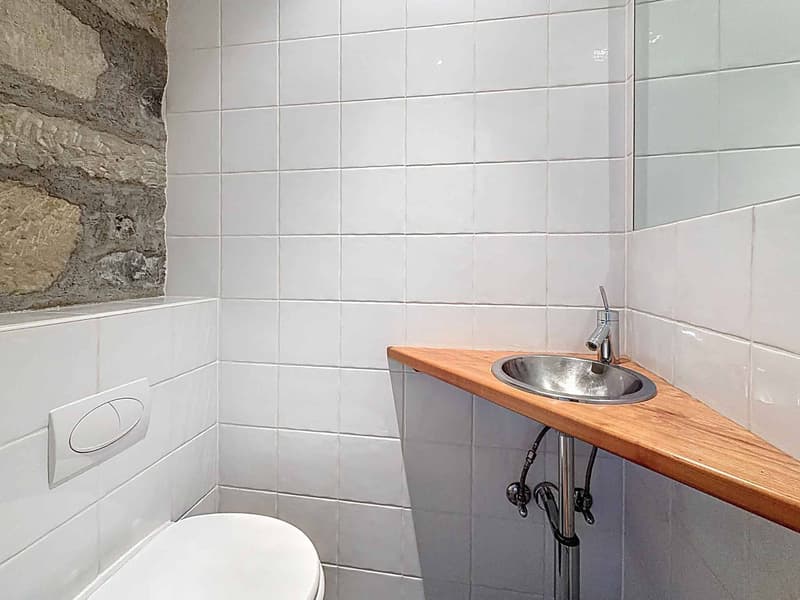 Exceptional duplex in the center of Vevey (12)