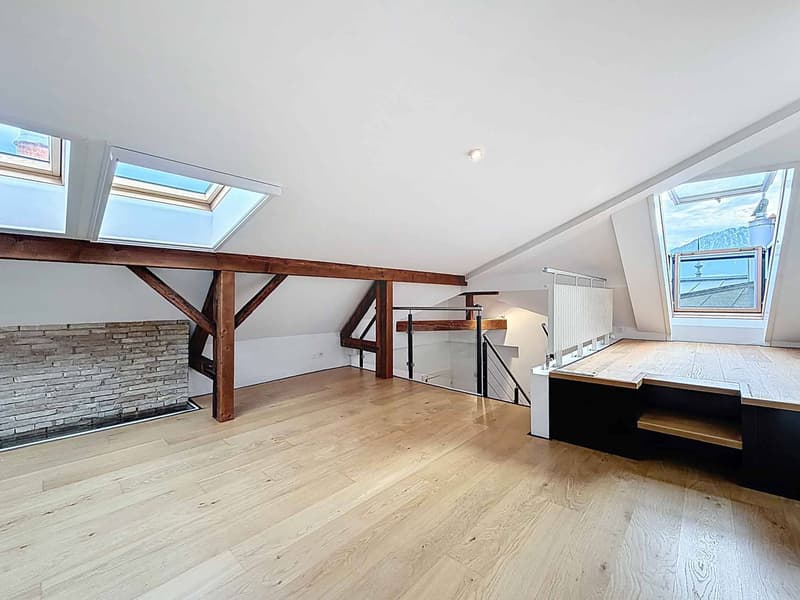 Exceptional duplex in the center of Vevey (10)