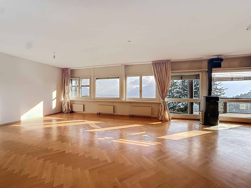 Superbo appartamento di 4,5 locali con vista panoramica (4)