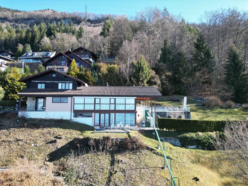 Villa with grandiose panorama on Lake Geneva (2)