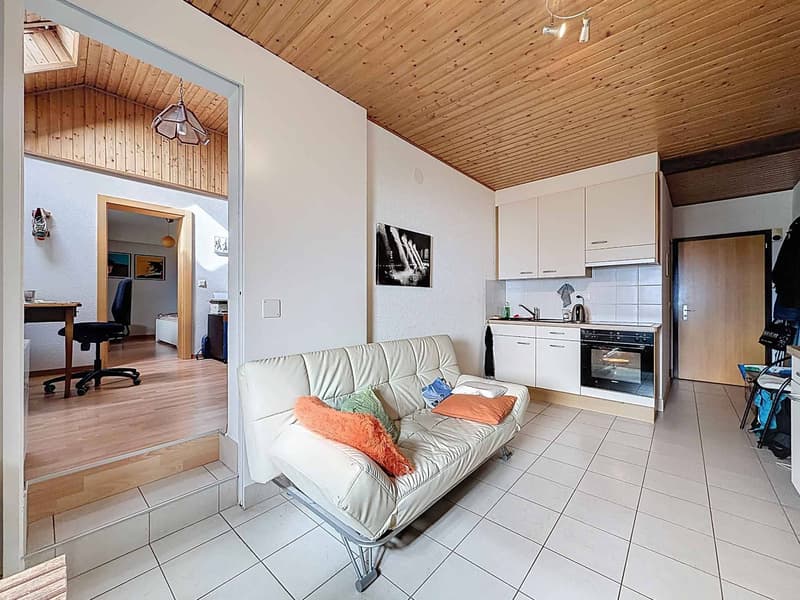 Rural renovated with 3 apartments (13)
