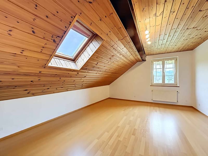 Rural renovated with 3 apartments (11)