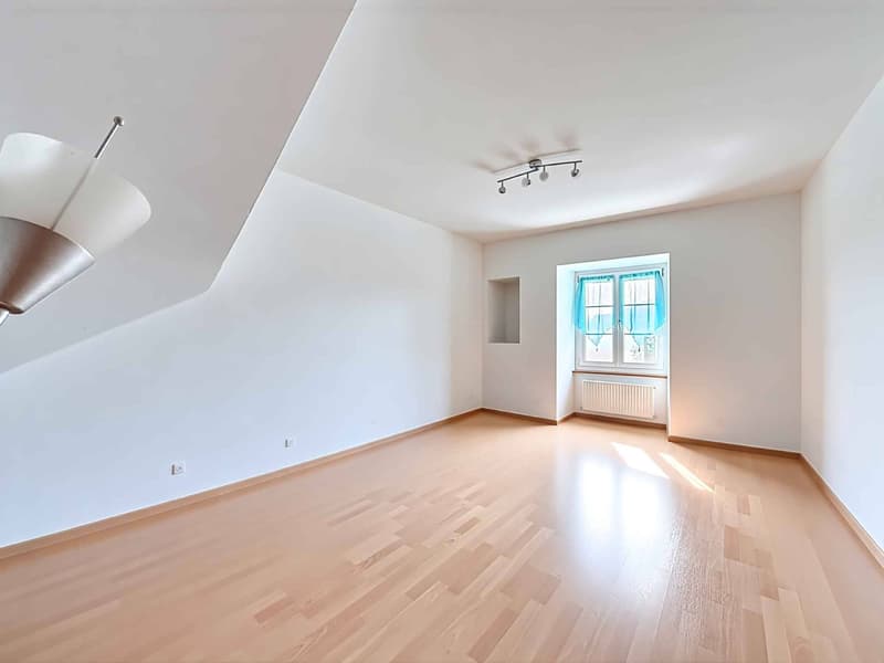 Rural renovated with 3 apartments (10)