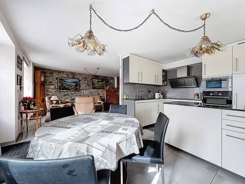 Rural renovated with 3 apartments (4)