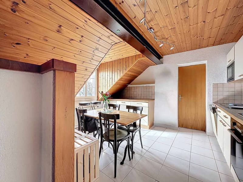 Rural renovated with 3 apartments (8)