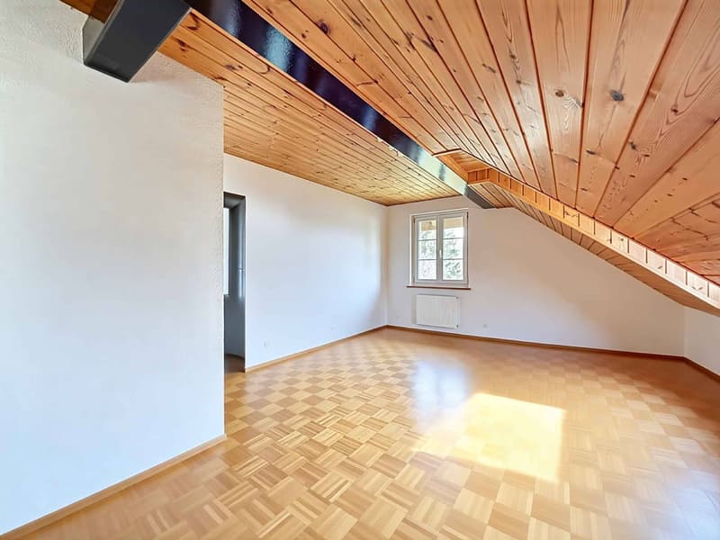 Rural renovated with 3 apartments (9)
