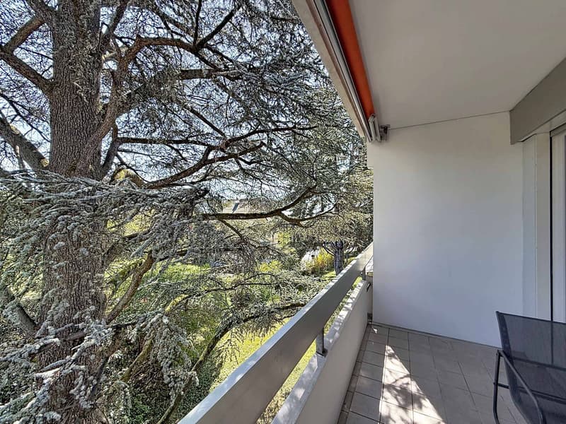5.5-room attic apartment (13)