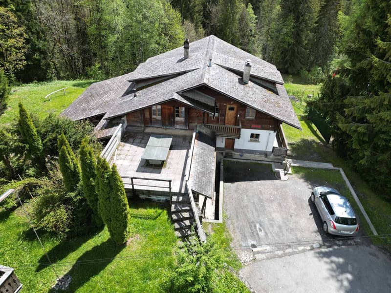 Authentic Mountain Chalet with vast hosting capacity (2)
