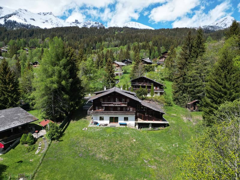 Authentic Mountain Chalet with vast hosting capacity (1)