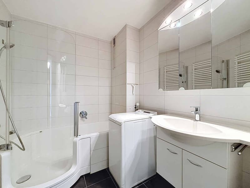 Beautiful cross apartment with 4.5 rooms, terrace and garden (8)