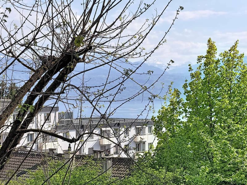 Beautiful apartment in a quiet area of Lausanne (1)