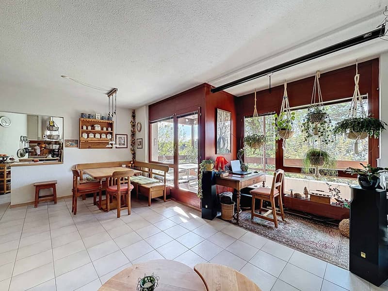 Beautiful apartment in a quiet area of Lausanne (5)