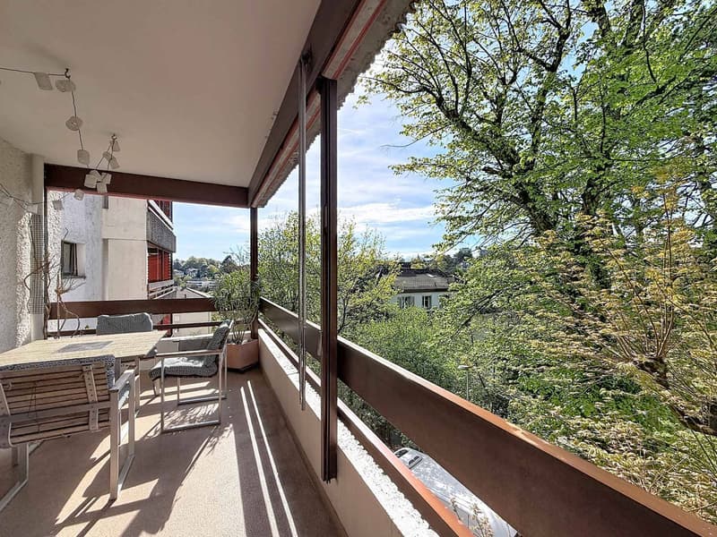Beautiful apartment in a quiet area of Lausanne (10)
