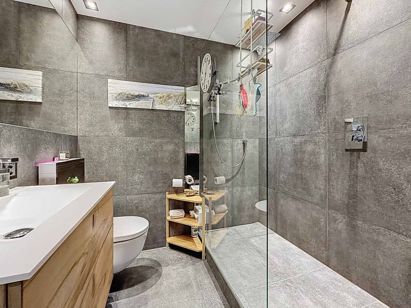Beautiful apartment in a quiet area of Lausanne (11)