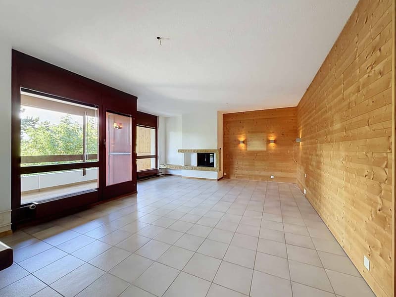 Bel appartement dans un quartier calme de Lausanne (3)