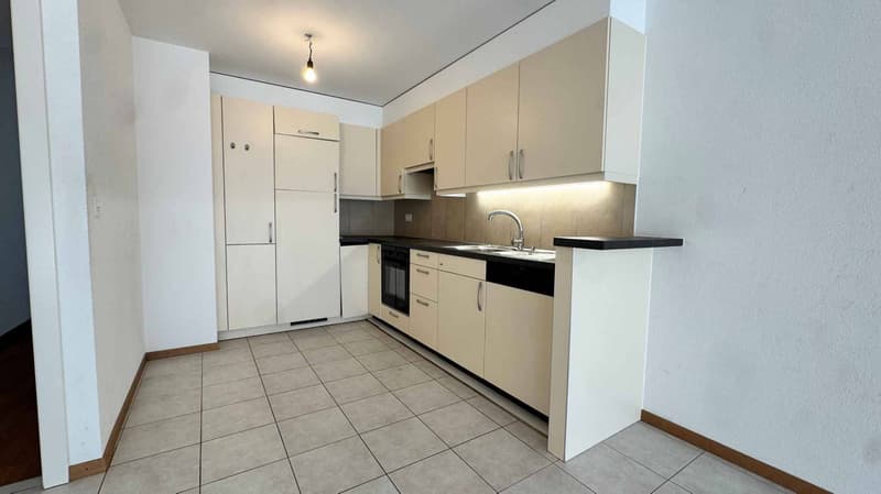 Beautiful 4.5-room attic with large mezzanine (3)
