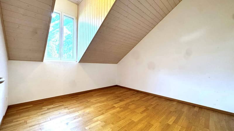 Beautiful 4.5-room attic with large mezzanine (6)