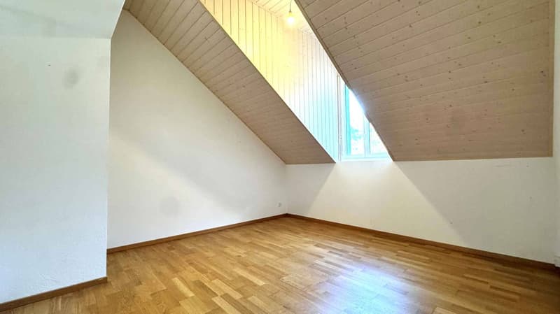 Beautiful 4.5-room attic with large mezzanine (7)