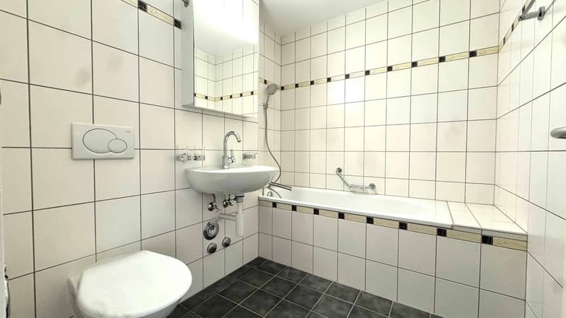Beautiful 4.5-room attic with large mezzanine (8)