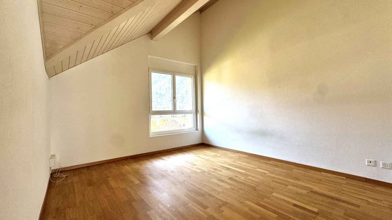 Beautiful 4.5-room attic with large mezzanine (5)