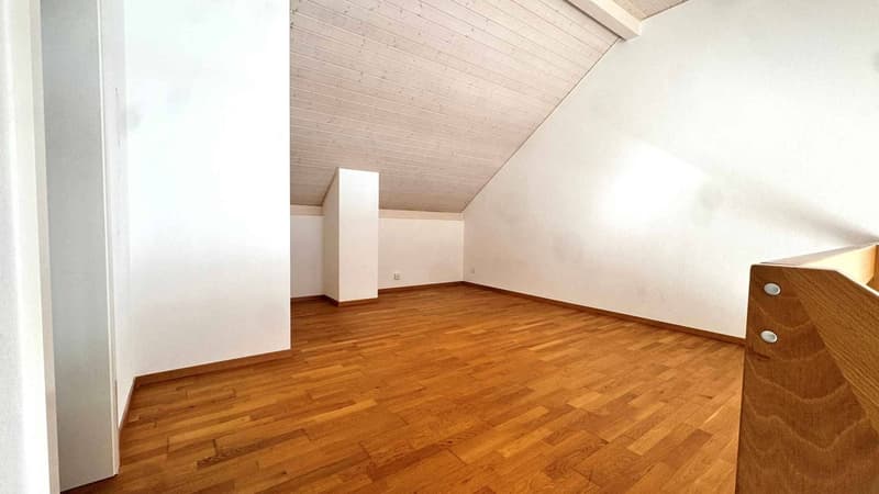 Beautiful 4.5-room attic with large mezzanine (4)