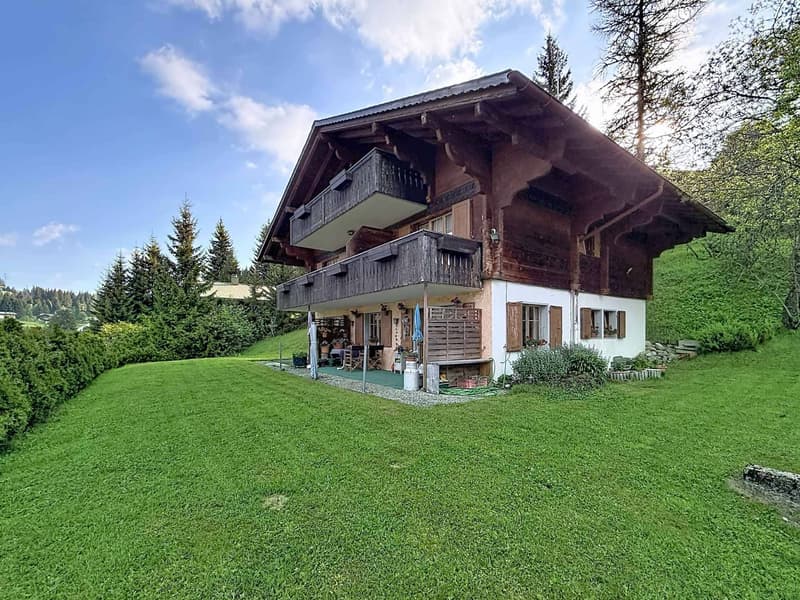Großes Chalet mit 3 Wohnungen und Panoramablick (1)