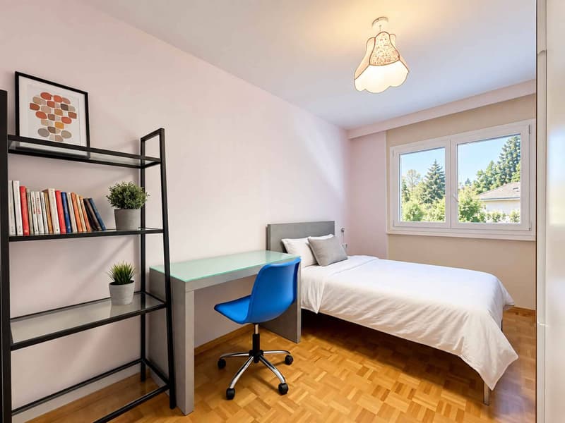 Appartement lumineux proche du Lac (7)