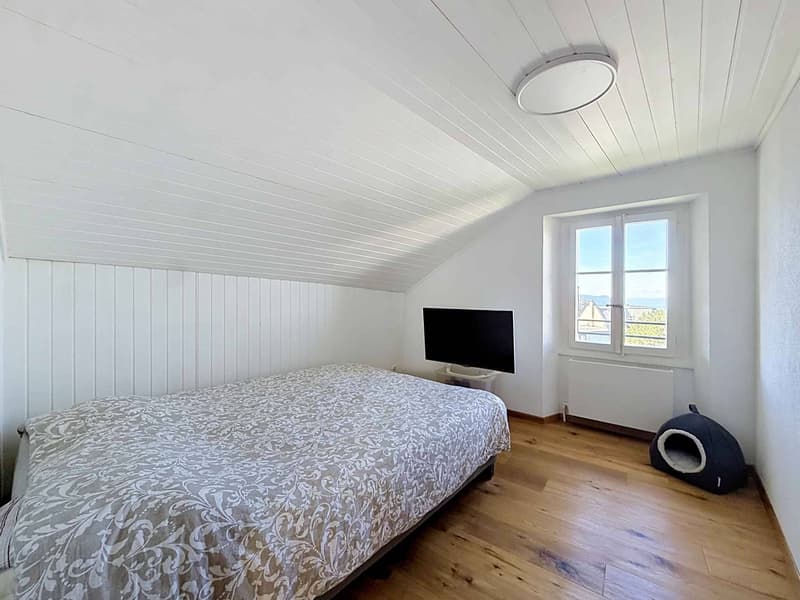 UN APPARTEMENT DE CHARME SUR LES HAUTEURS DE MONTREUX (8)