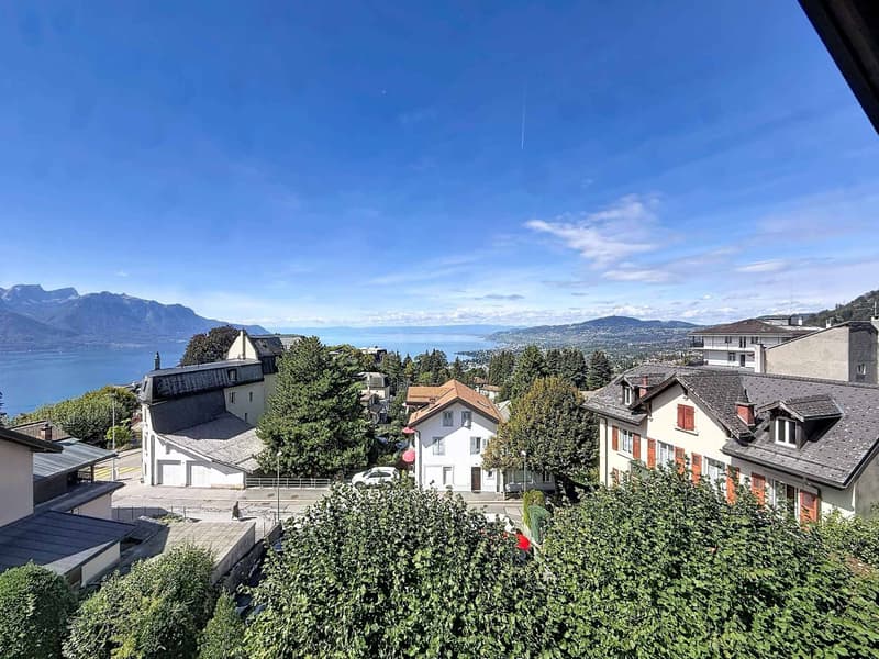 UN APPARTEMENT DE CHARME SUR LES HAUTEURS DE MONTREUX (1)