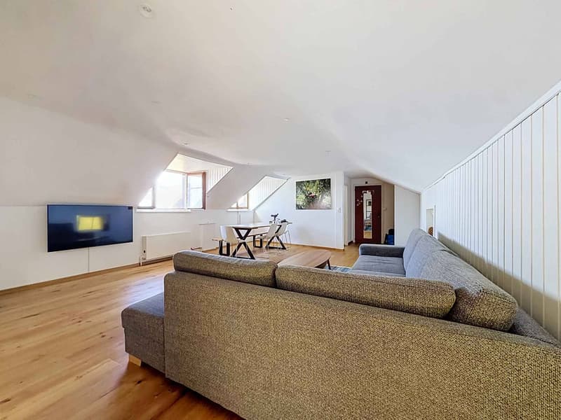 UN APPARTEMENT DE CHARME SUR LES HAUTEURS DE MONTREUX (4)