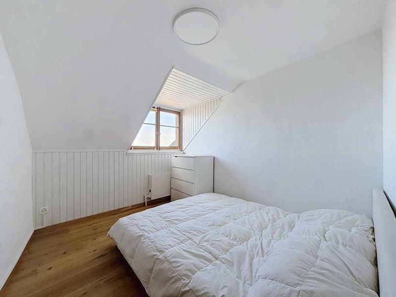 UN APPARTEMENT DE CHARME SUR LES HAUTEURS DE MONTREUX (7)