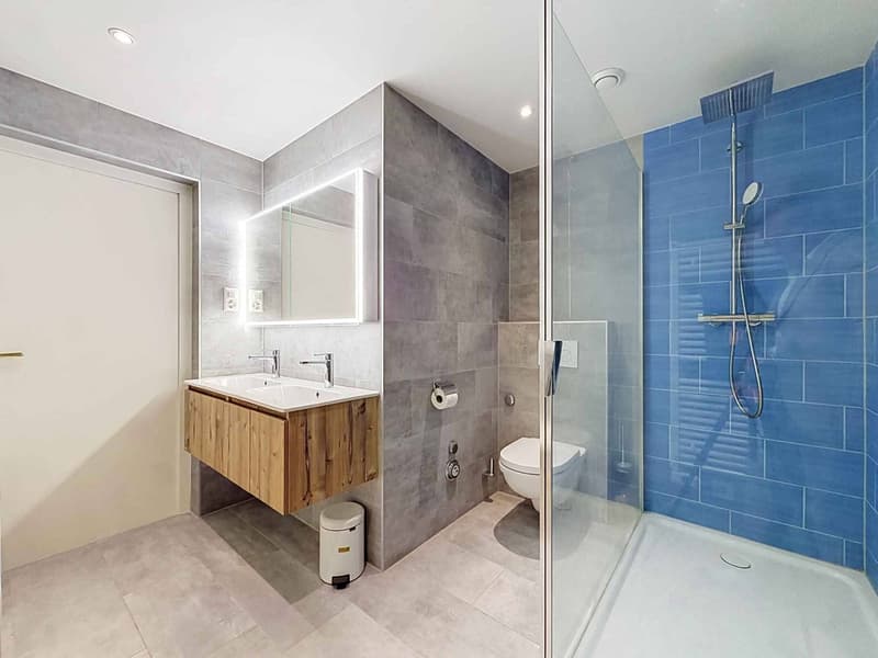 Luxueux appartement au cur de la ville (11)